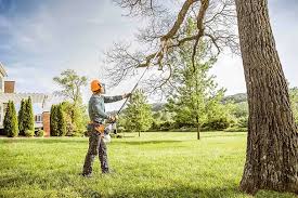 Columbia, KY Tree Services Pros